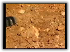 Tech Explain Africa Demo